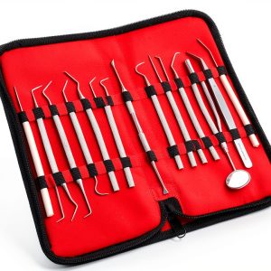 Stainless Steel Micro Precision Probe Set by A2ZSCILAB 15-Piece Probes-0